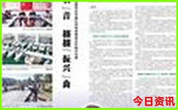 大三巴的资料一肖